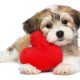 Puppy Valentine Heart